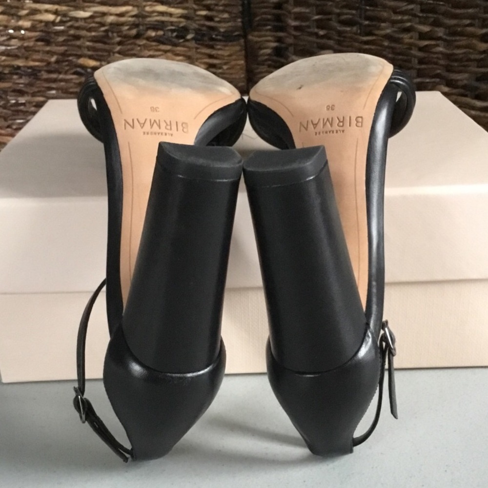 Alexandre Birman - image 7